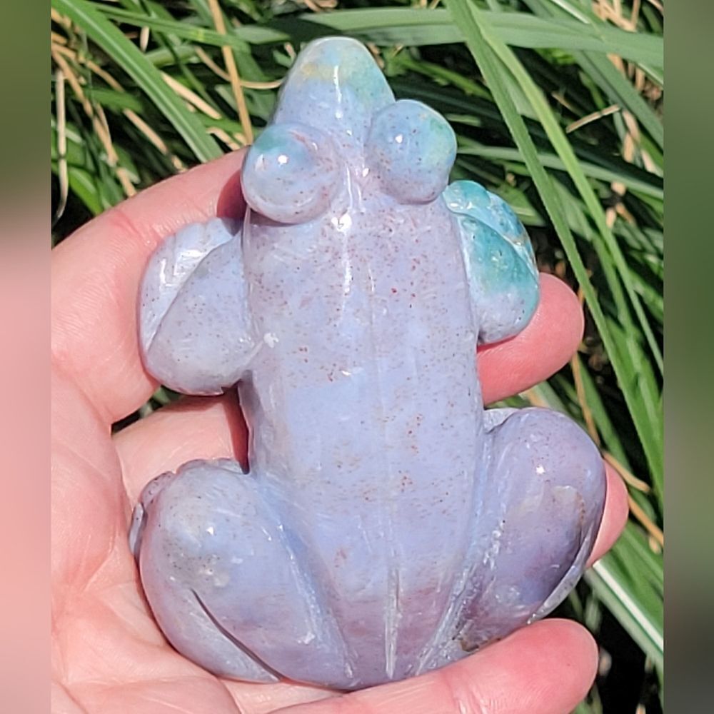 Ocean Jasper Frog - Picture 5 of 10